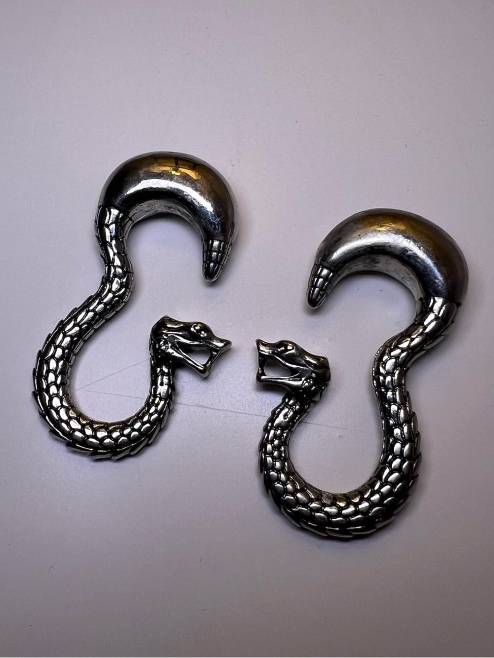 Silver Ear Weights